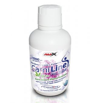 Жиросжигатель Amix CarniLine ProActive 480мл - Есик