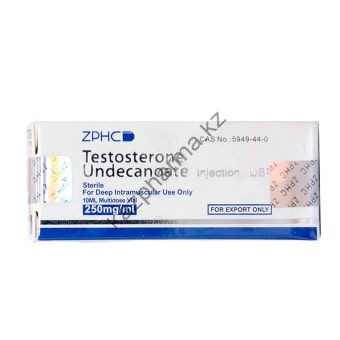Тестостерон ундеканоат ZPHC флакон 10 мл (1 мл 250 мг) Есик
